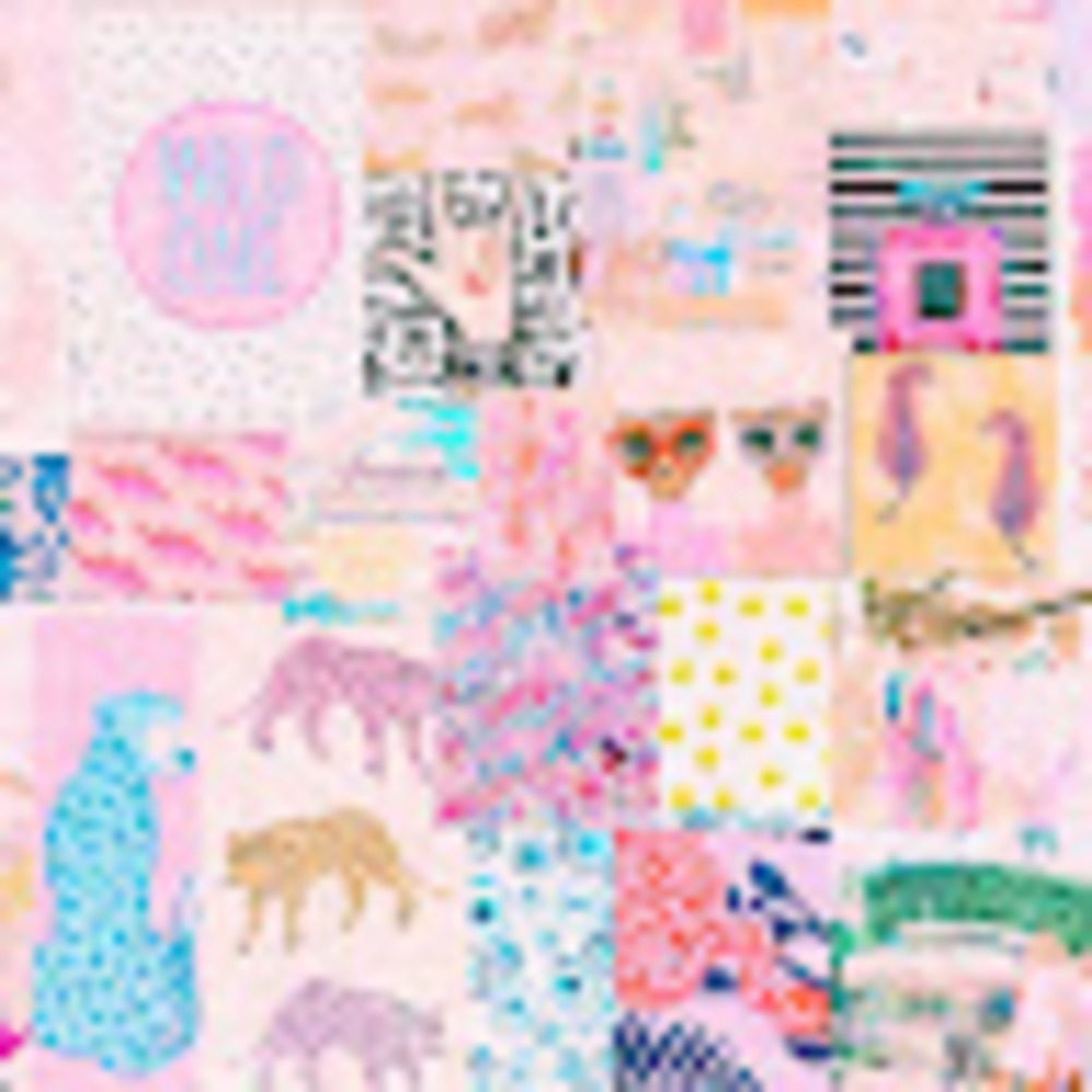 Meet your Posher, Laney